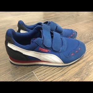 Pumas little kid 12.5